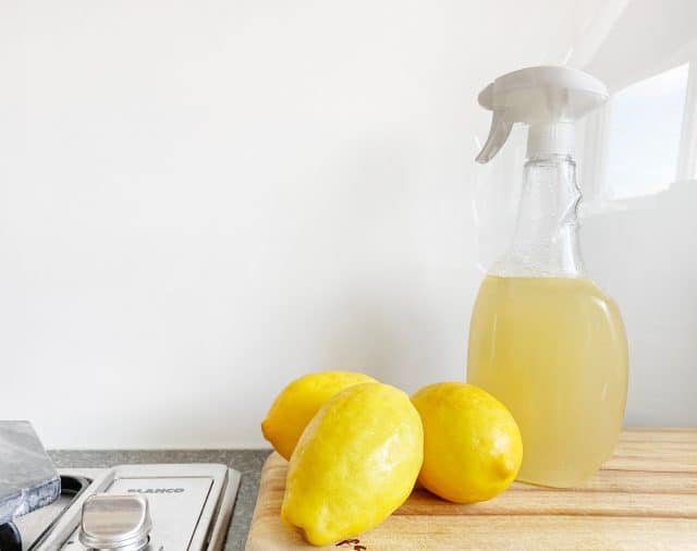 Natural Cleaning Products for Home - NeighborWorks of Western Vermont